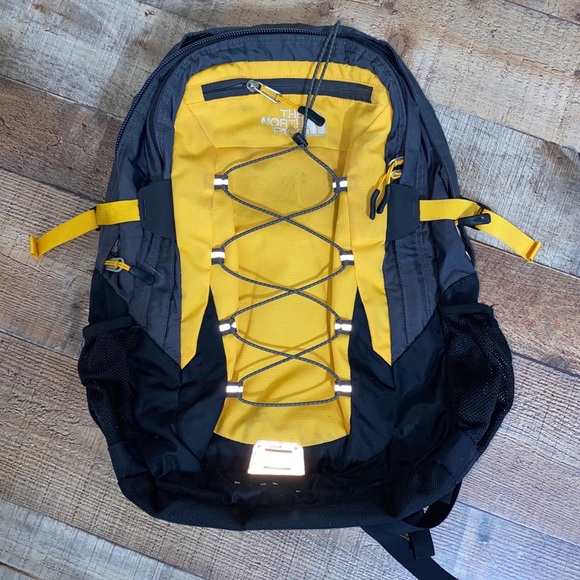 The North Face Other - 🎉HP The North Face Borealis Classic Backpack